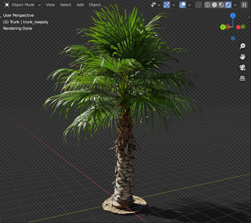 Palm tree - photoscan 03 Low-poly 3D model_2