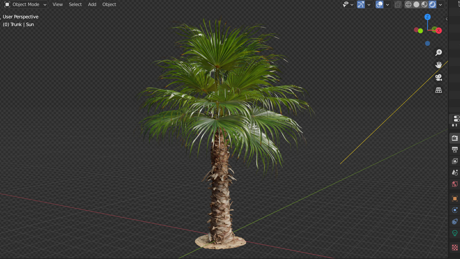 Palm tree - photoscan 03 Low-poly 3D model_9
