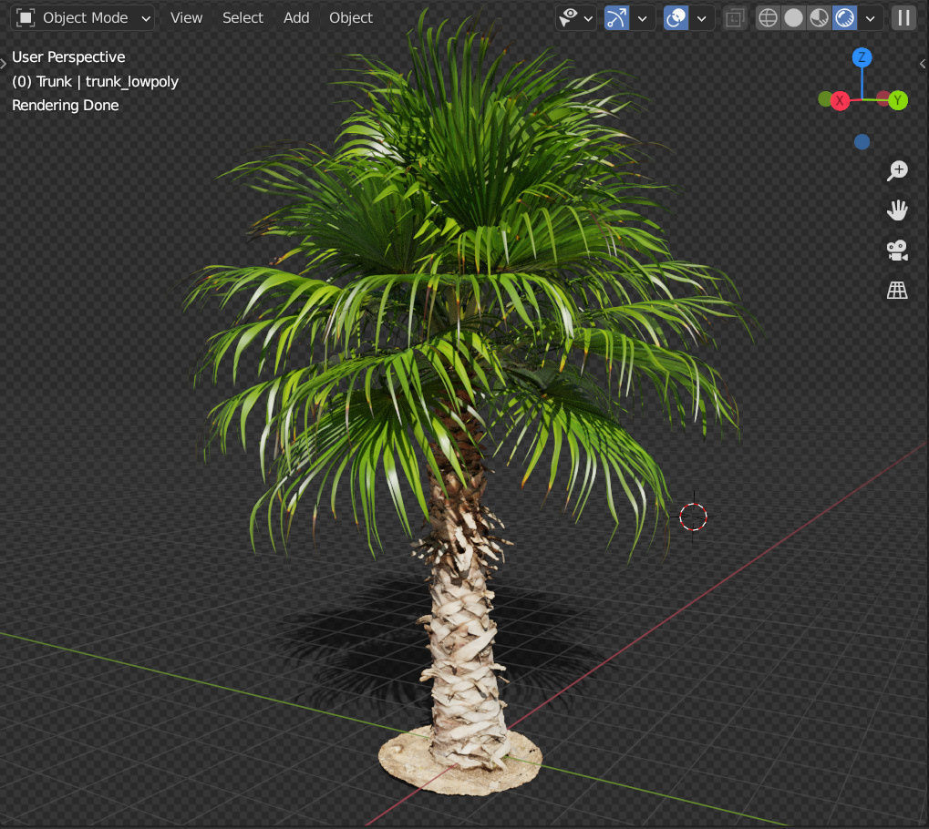 Palm tree - photoscan 03 Low-poly 3D model_1