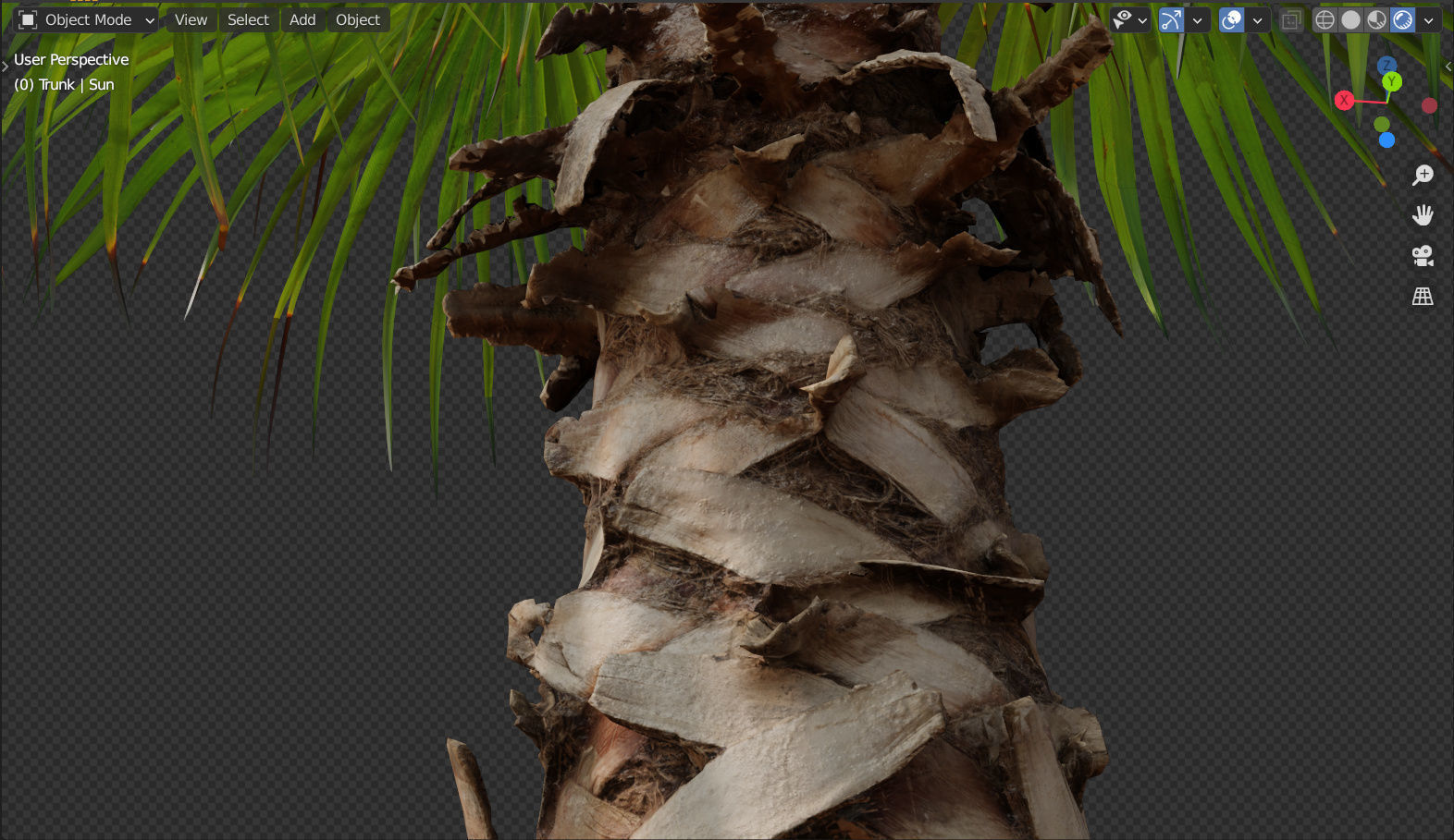 Palm tree - photoscan 03 Low-poly 3D model_7