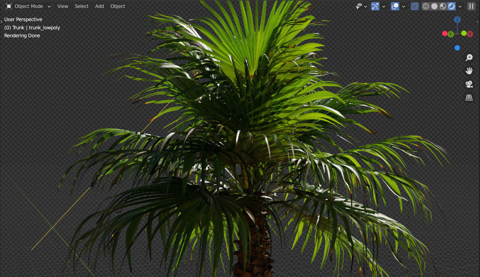 Palm tree - photoscan 03 Low-poly 3D model_5