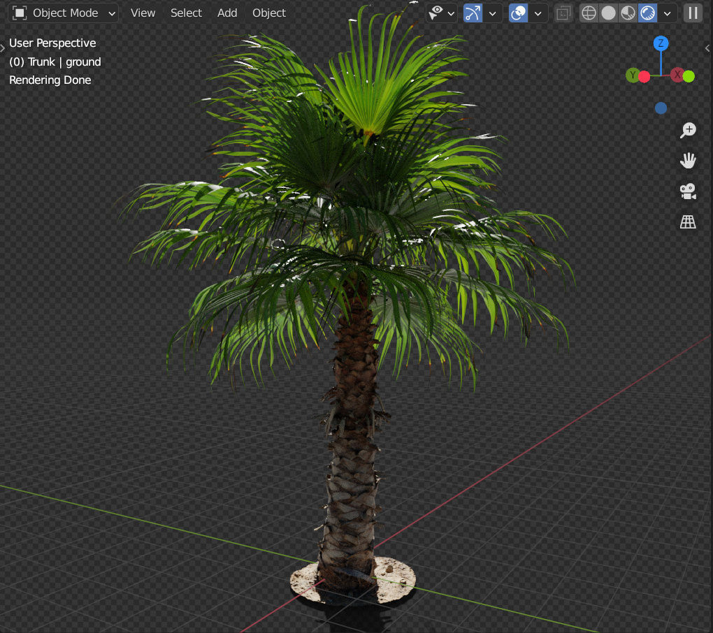 Palm tree - photoscan 03 Low-poly 3D model_3