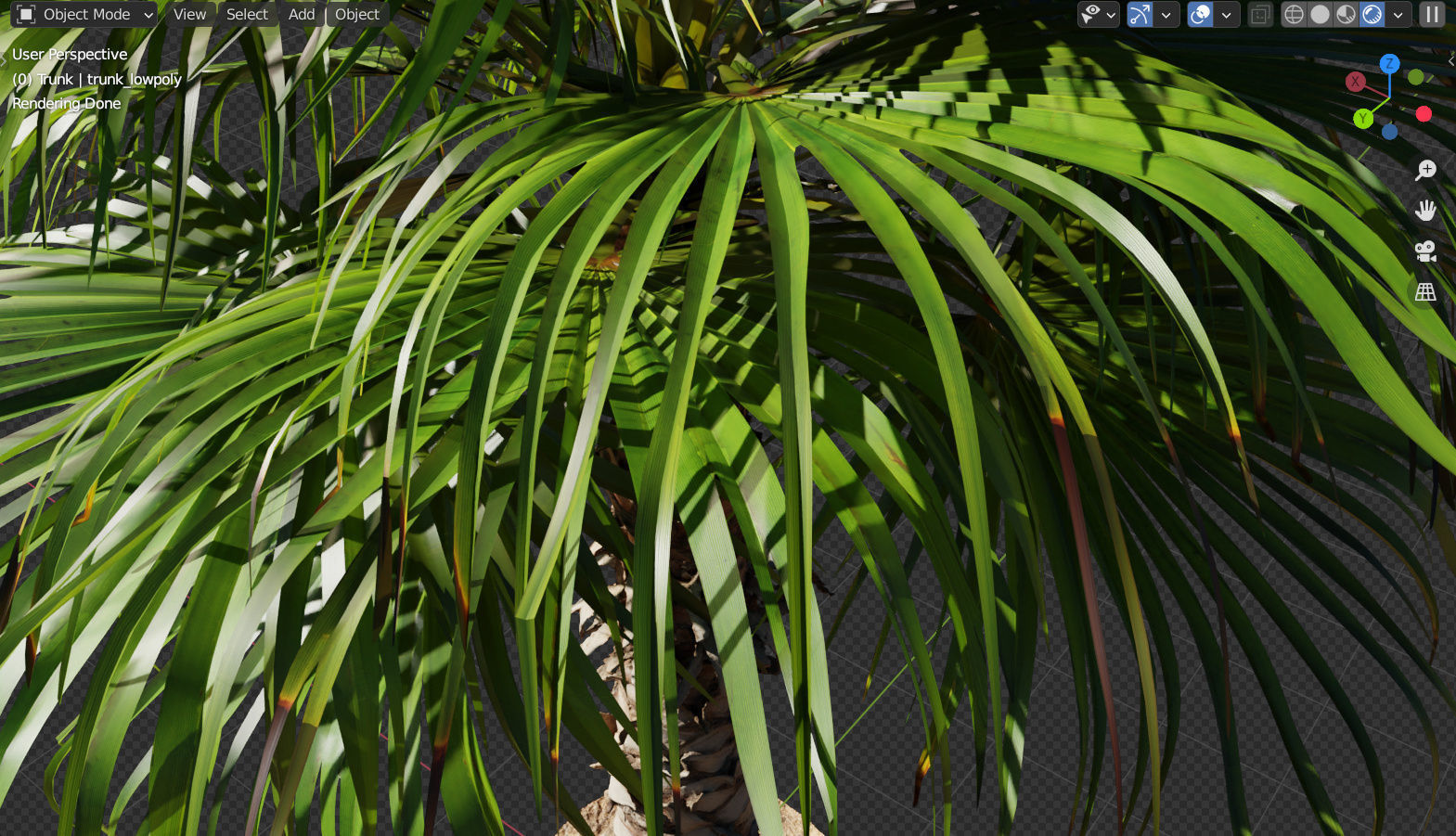 Palm tree - photoscan 03 Low-poly 3D model_6