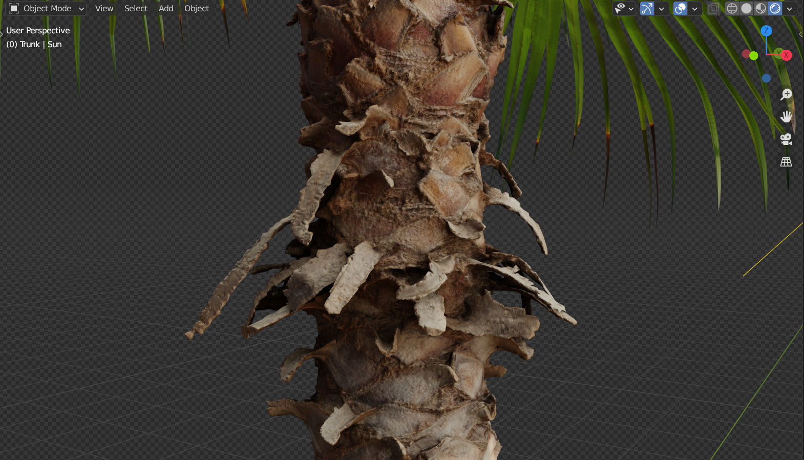 Palm tree - photoscan 03 Low-poly 3D model_4