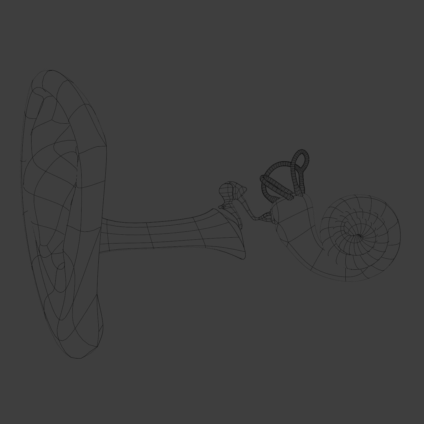 Ear anatomy Auditory and vestibular systems 3D model_3