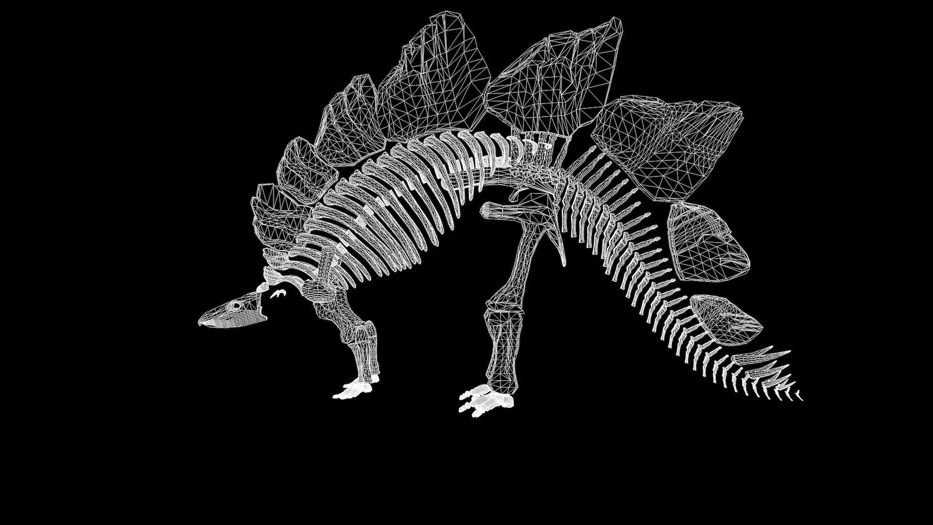 Stegosaurus Skeleton 3D model_6