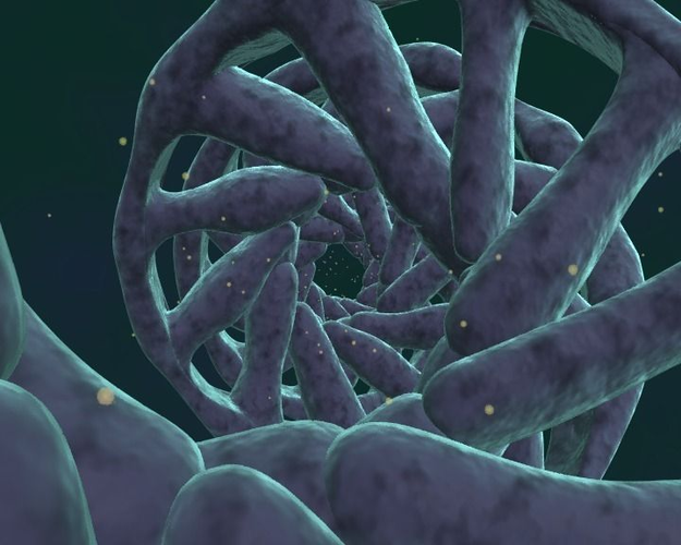 DNA double helix 3D model