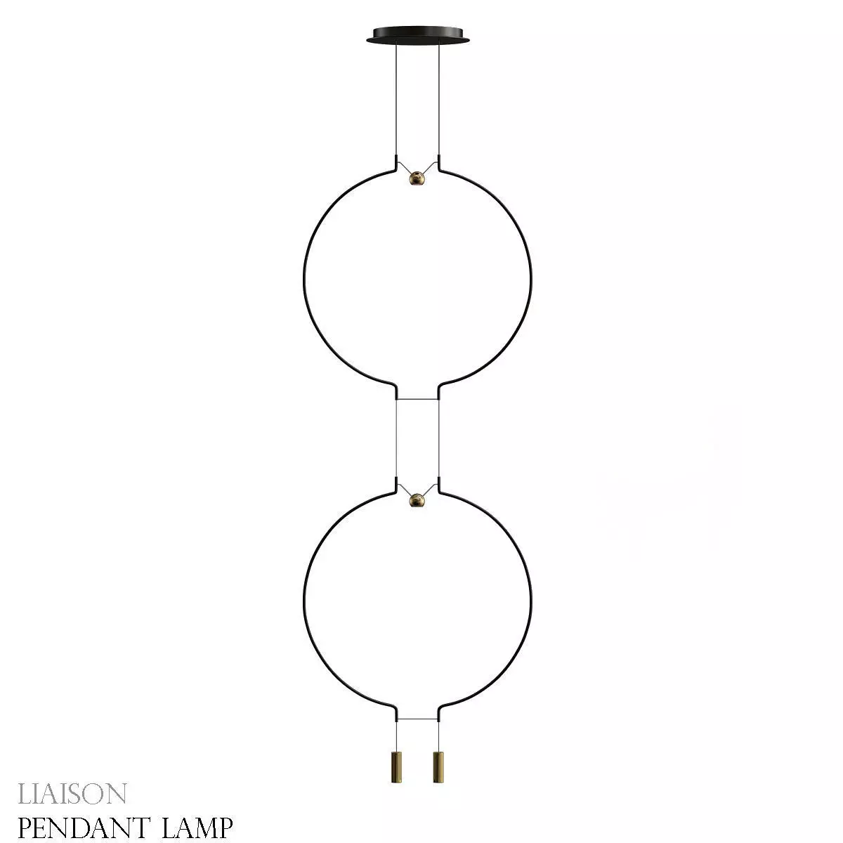 liaison pendant lamp with two circles hanging from it 3D model