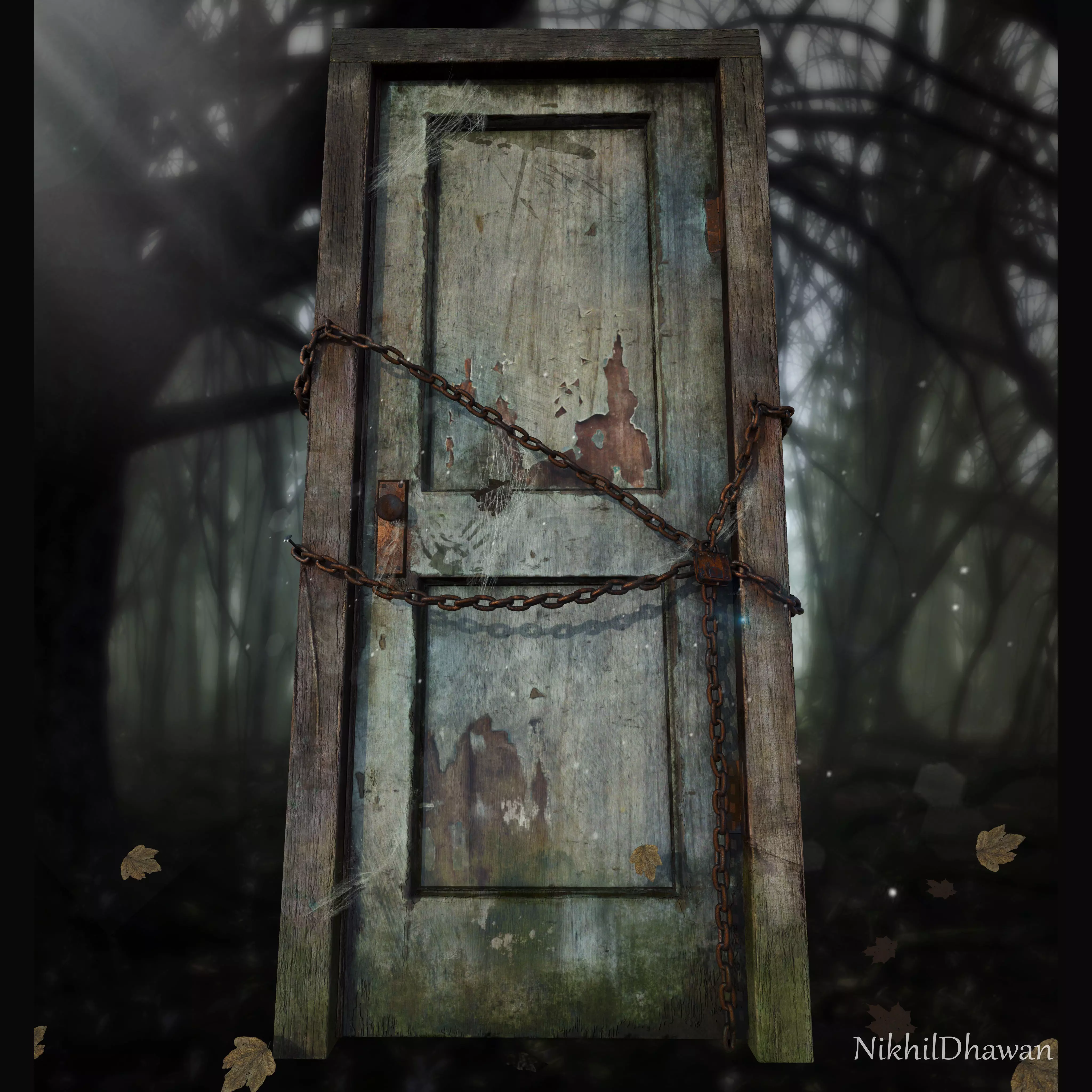 Door001 old door in woods Texture_0