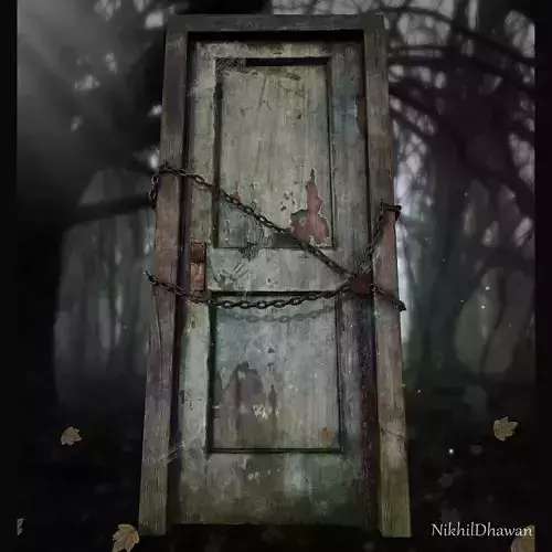 Door001 old door in woods