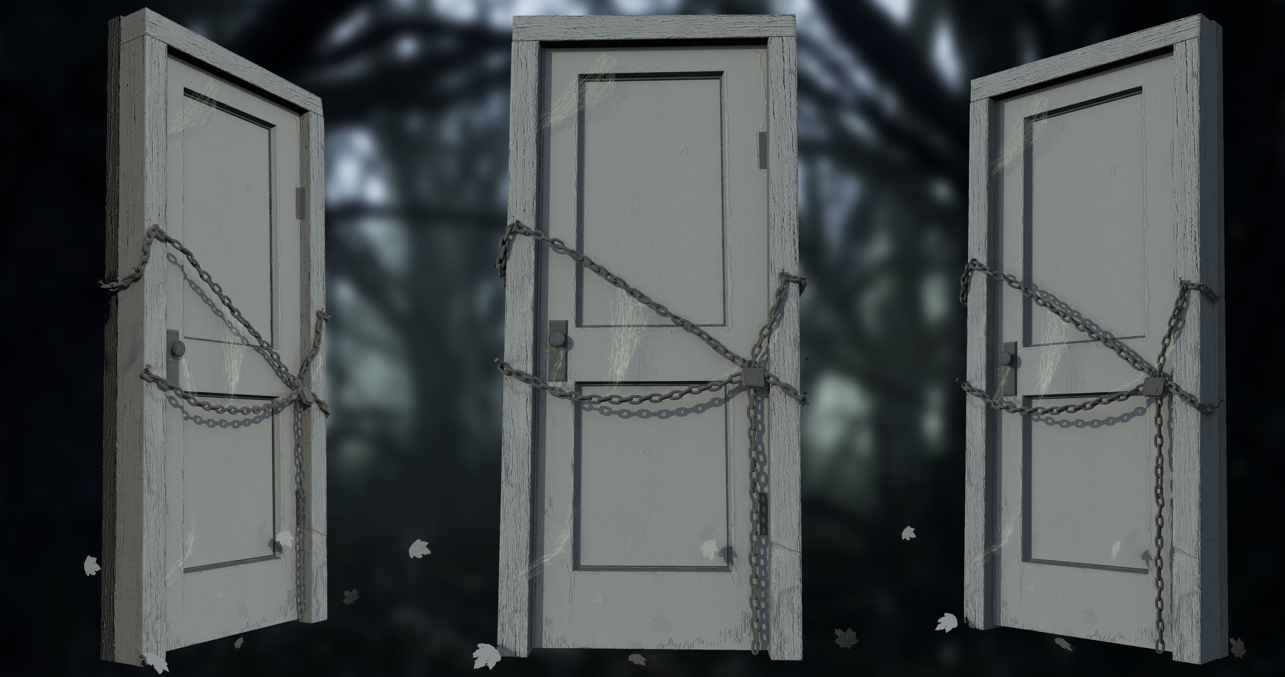 Door001 old door in woods Texture_1