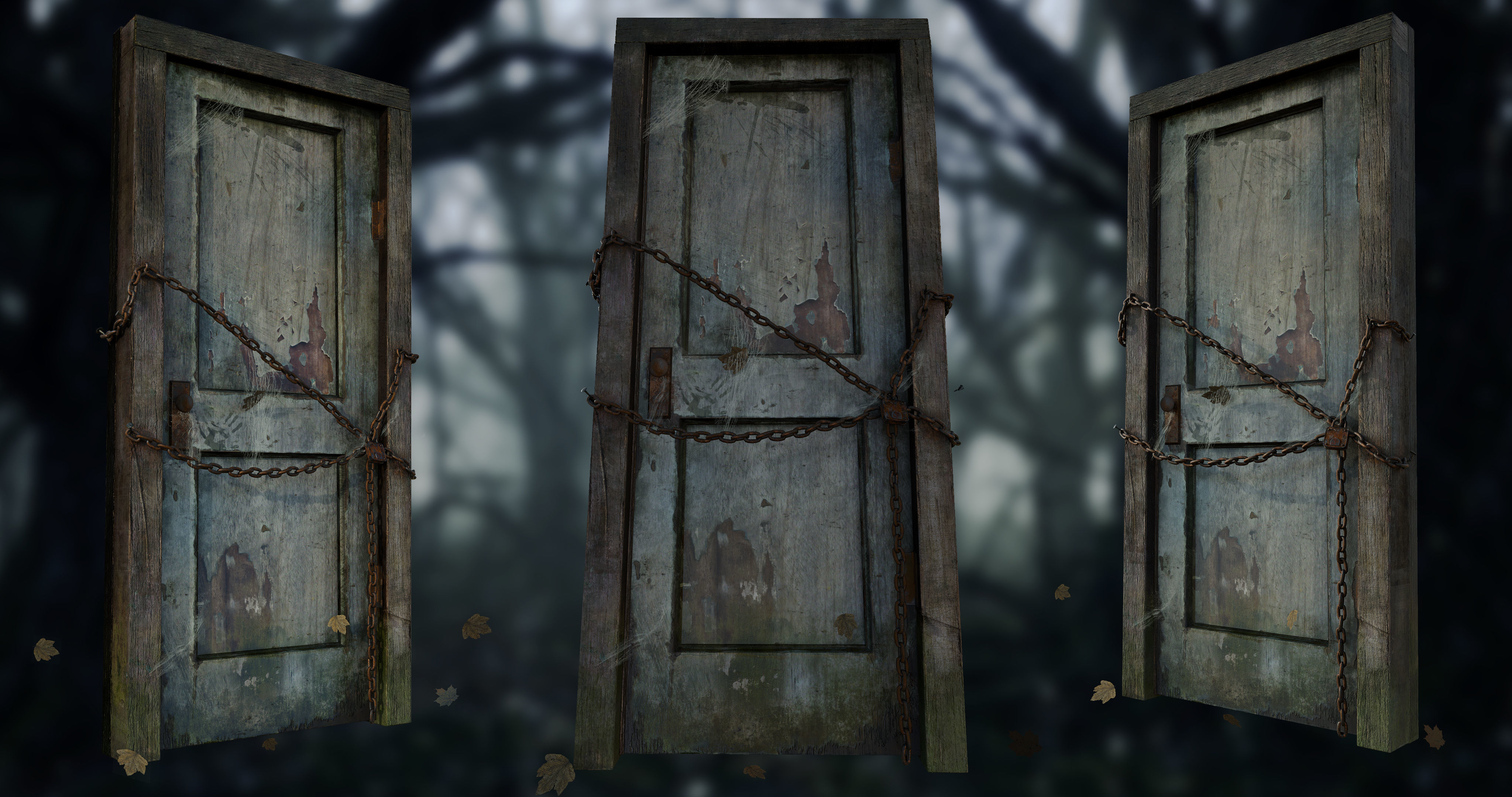 Door001 old door in woods Texture_2