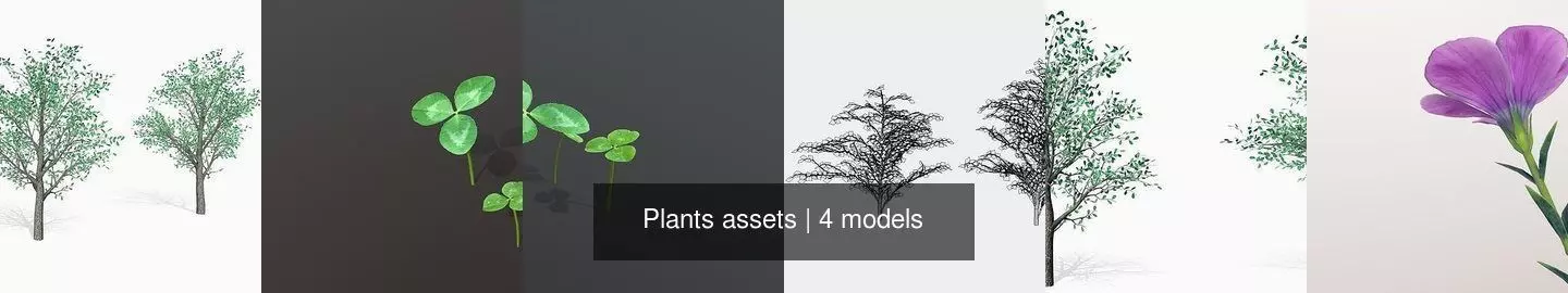 Plants assets 3D Model Collection_0