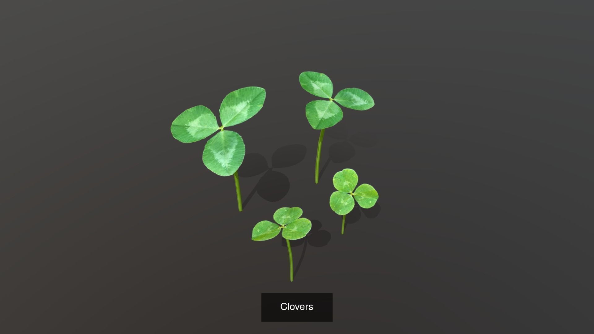 Plants assets 3D Model Collection_4