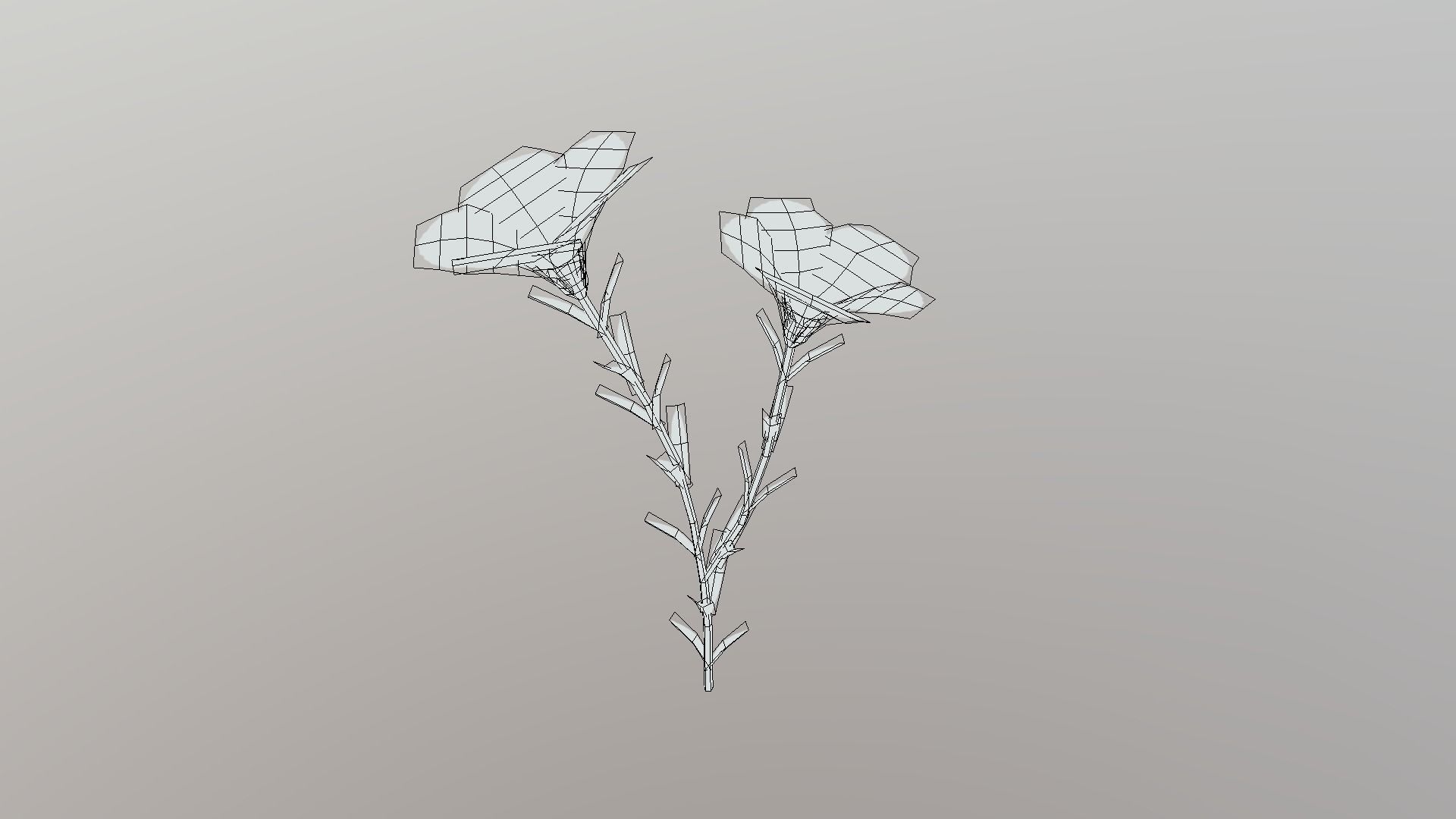 Linum viscosum Low-poly 3D model_2