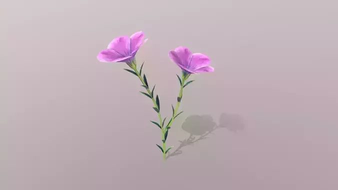 Linum viscosum Low-poly 3D model
