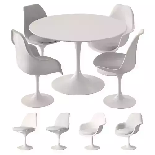 Knoll Tulip Table Set 3D model