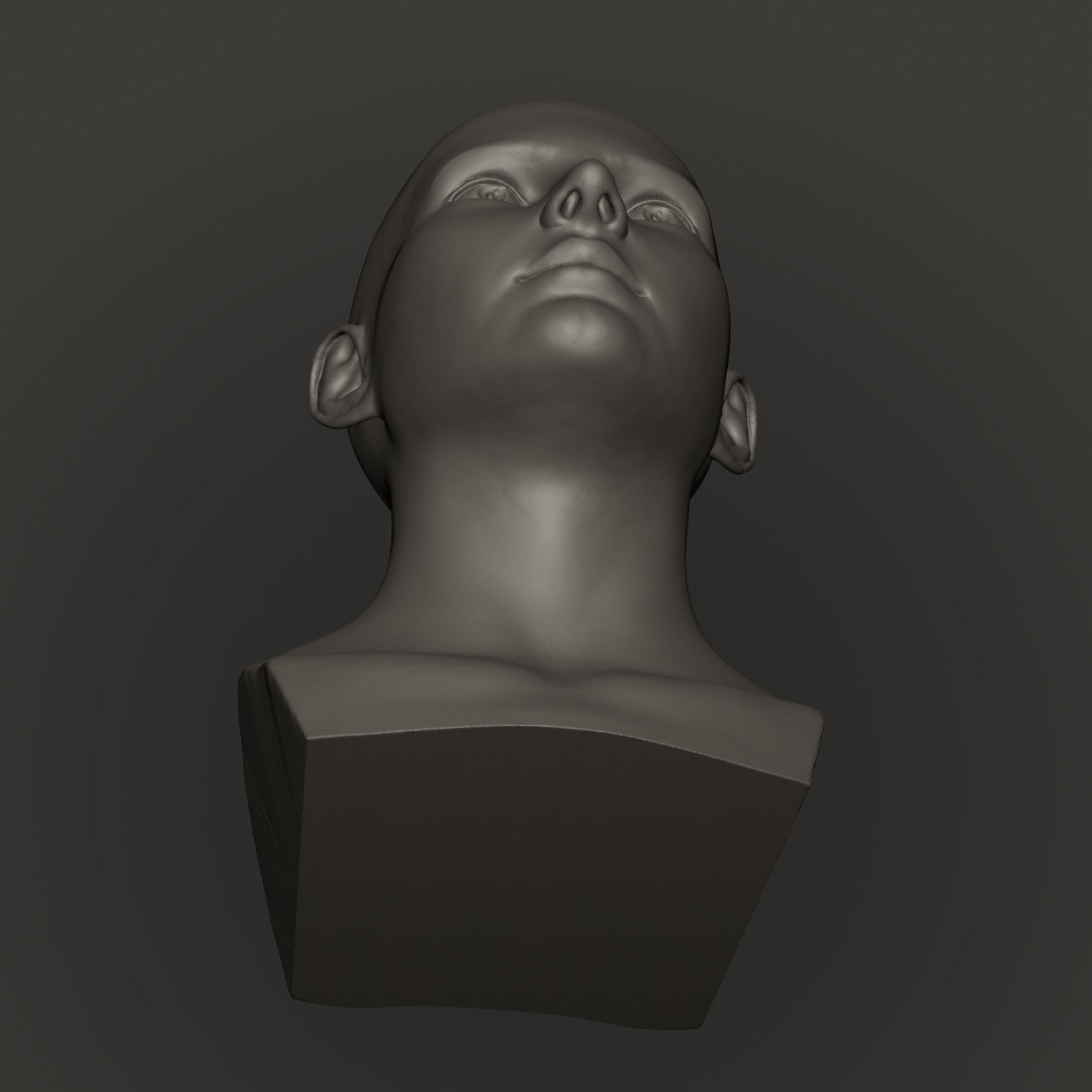 Female Head High Poly 3D print model_13