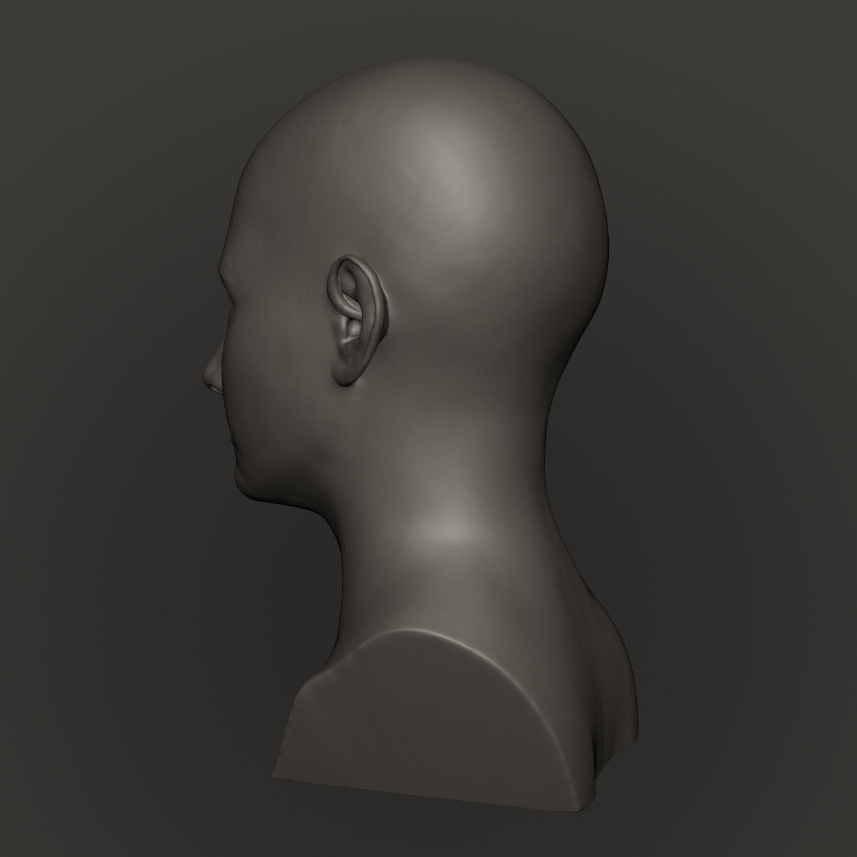 Female Head High Poly 3D print model_7