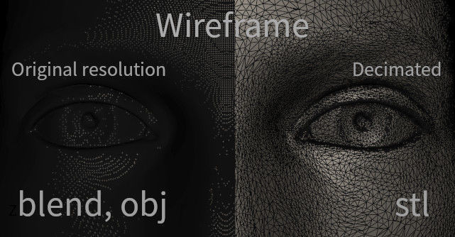 Female Head High Poly 3D print model_15