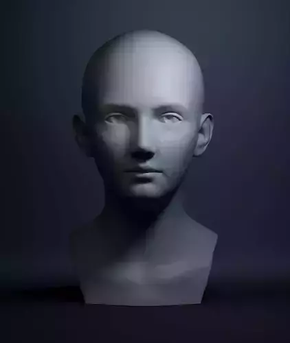 Female Head High Poly 3D print model