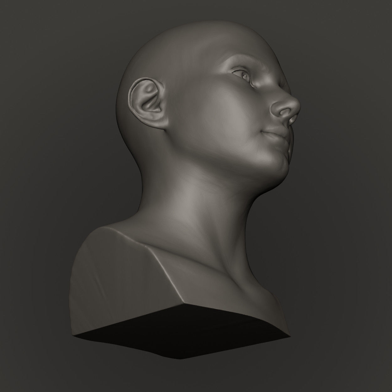 Female Head High Poly 3D print model_12