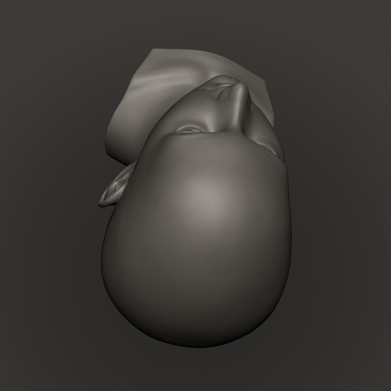 Female Head High Poly 3D print model_9
