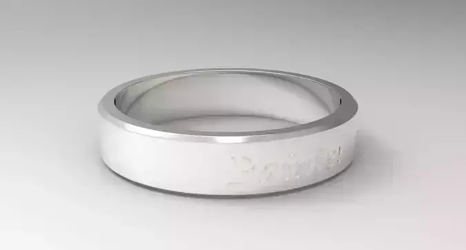 Painter Ring Silver