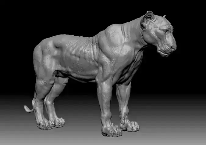 Animals - Lion 3D model