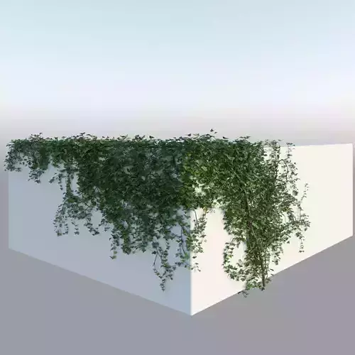 Realistic Climbing Ivy Corner 3D model