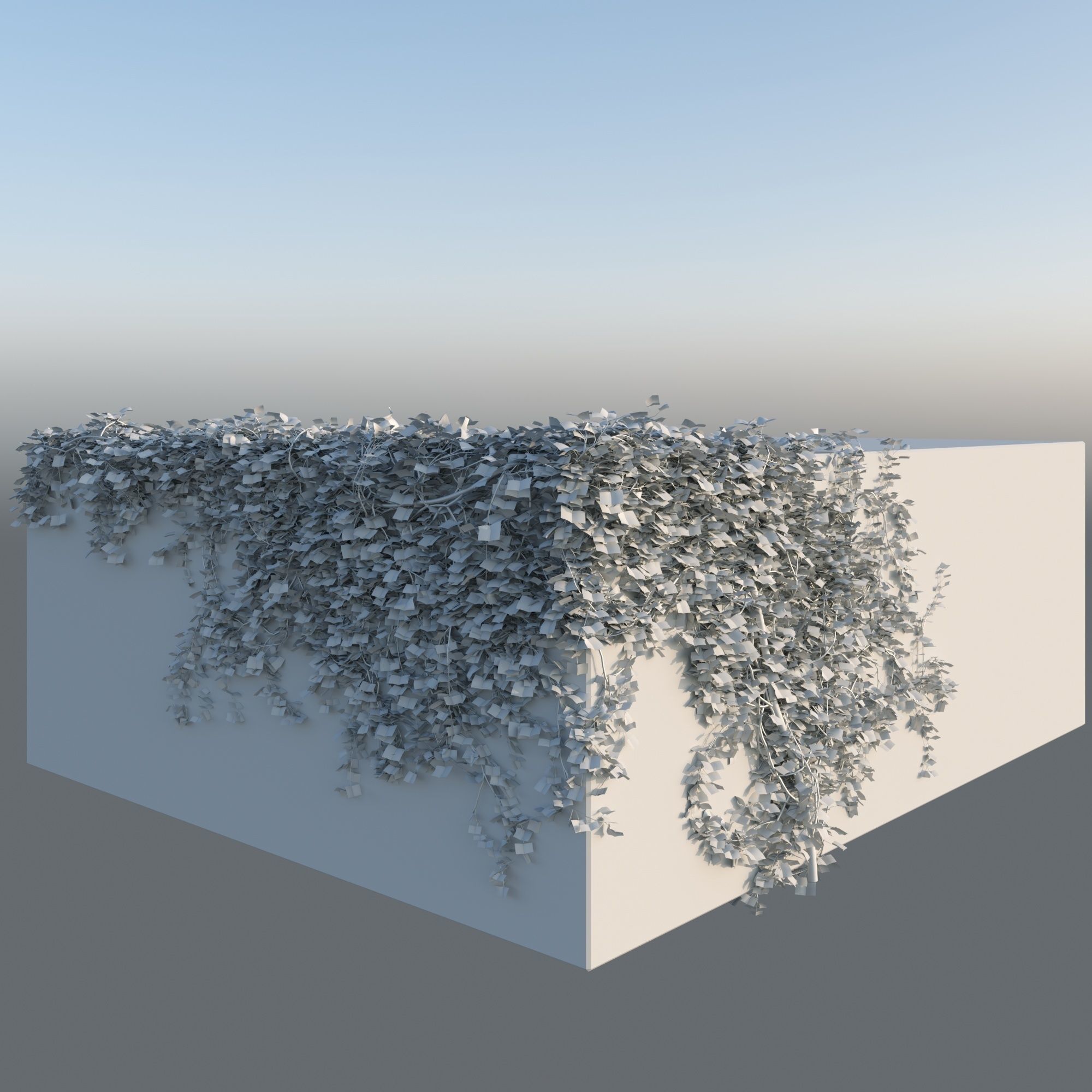 Realistic Climbing Ivy Corner 3D model_3