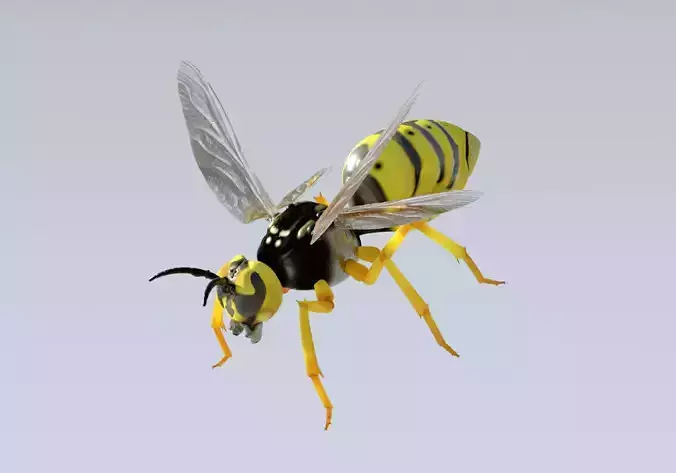 Wasp high poly flying in air Free 3D model