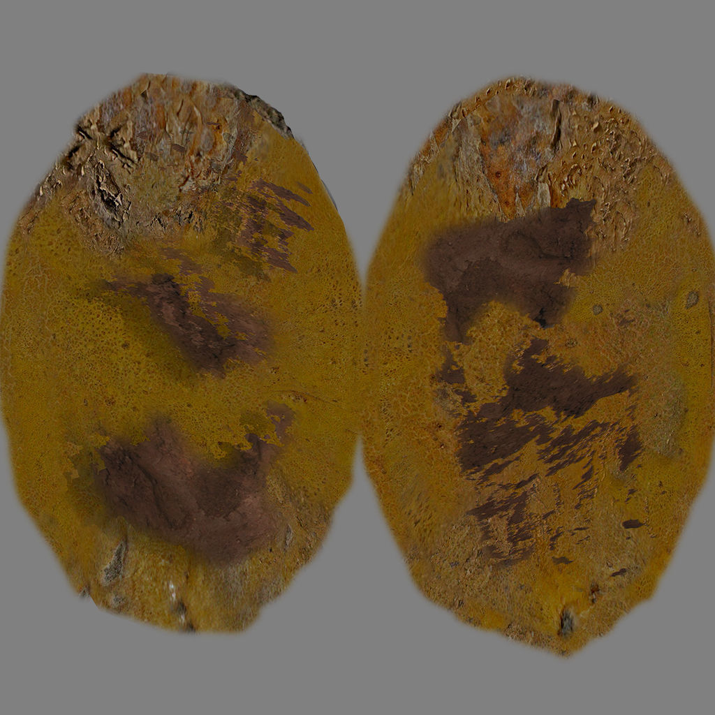 Fruits and Vegetables Pack Low-poly 3D model_11