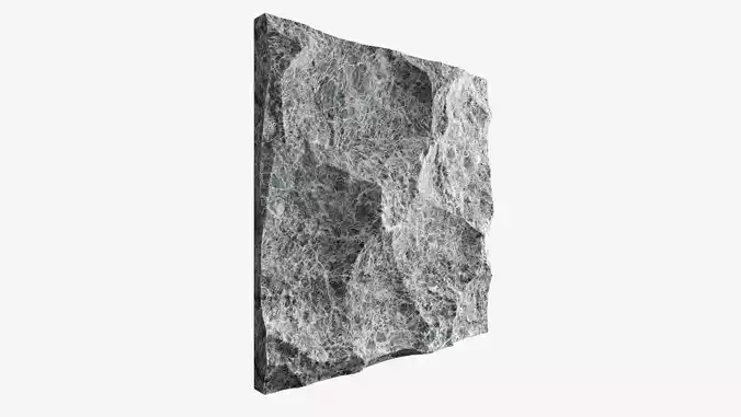 104-RockPanel piece of rock