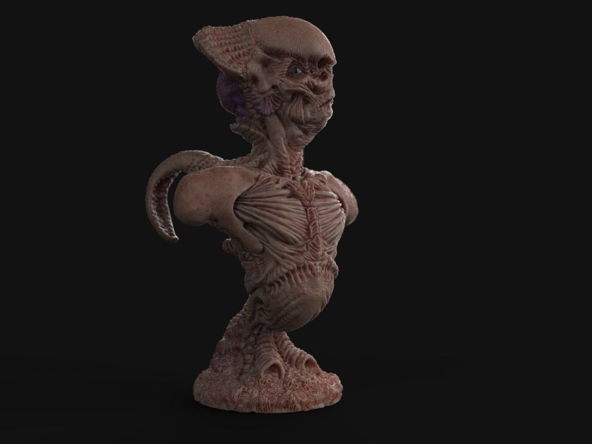 Alien Bust inspired in Giger 3D print model_3