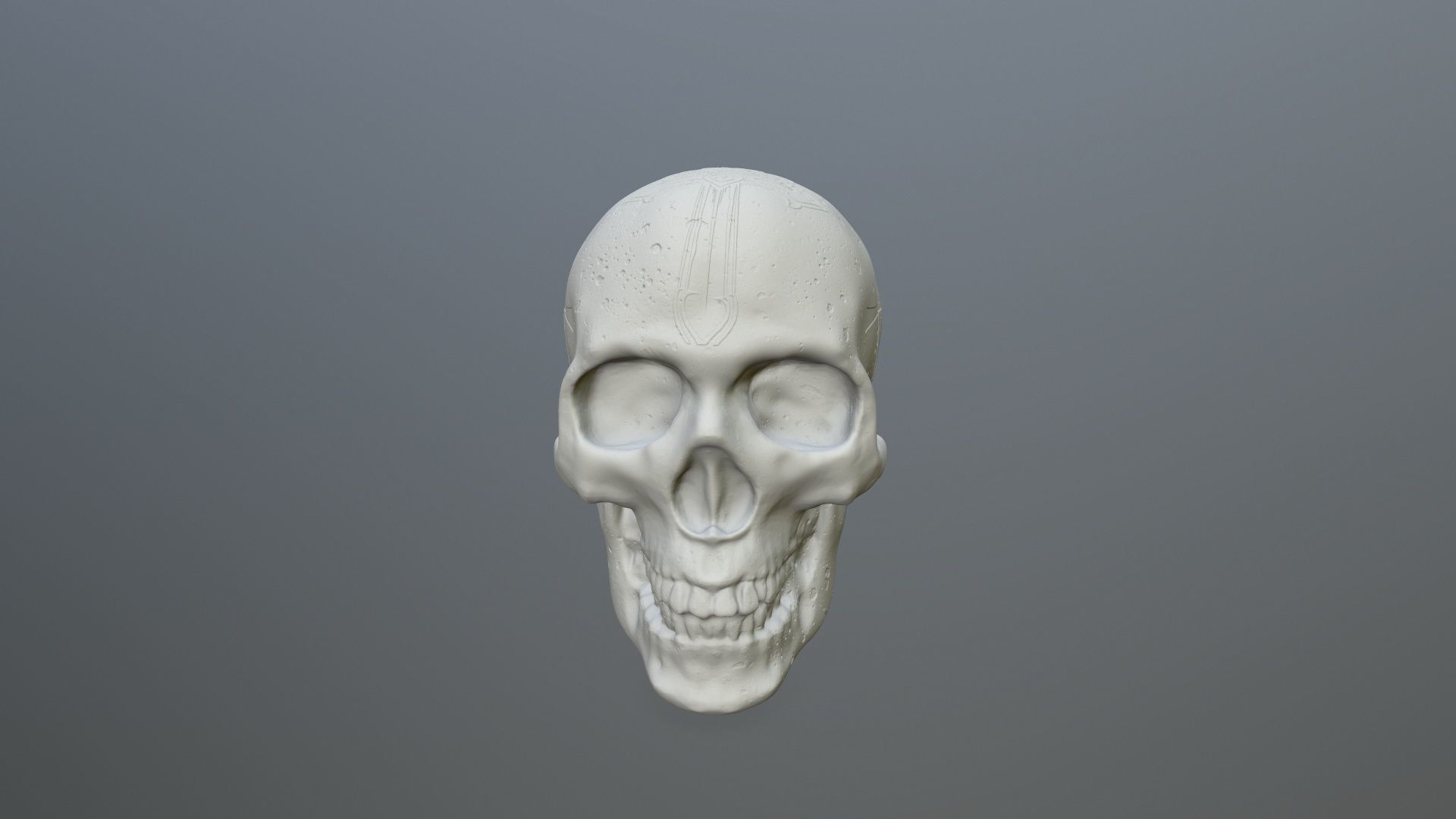 skull 3D print model_6