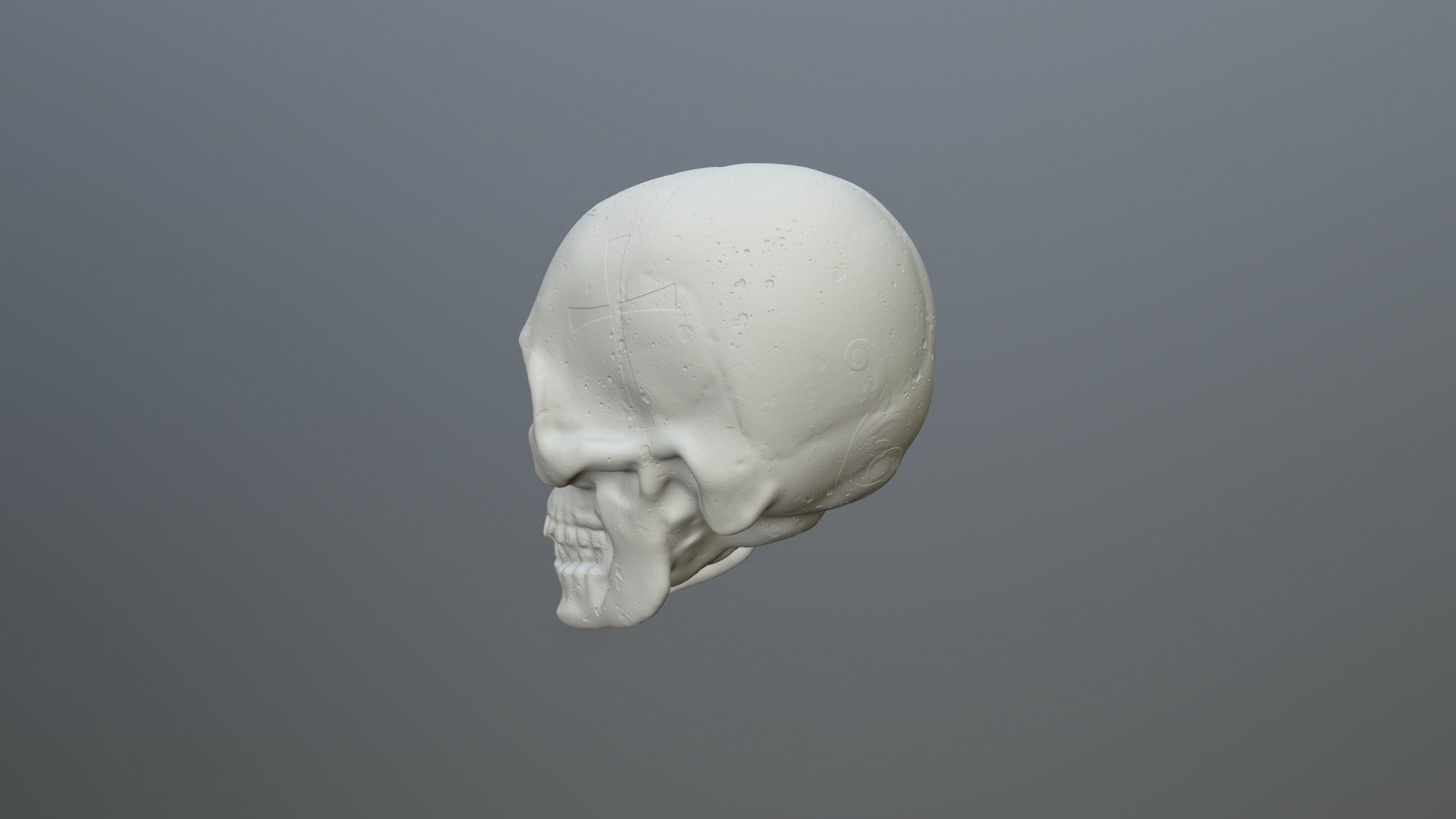 skull 3D print model_4