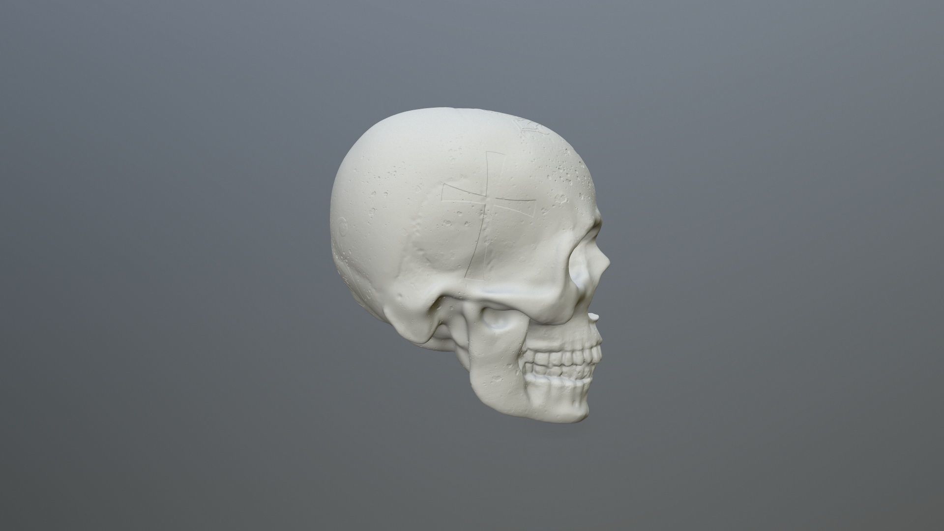 skull 3D print model_1