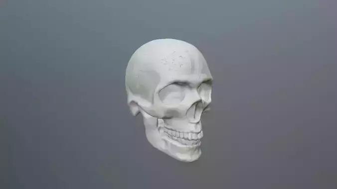 skull