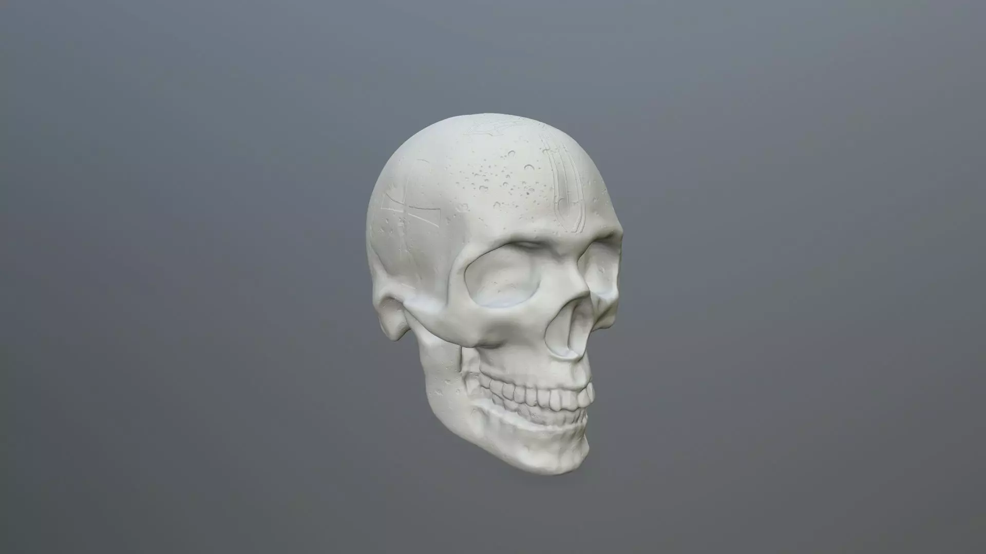 skull 3D print model_0