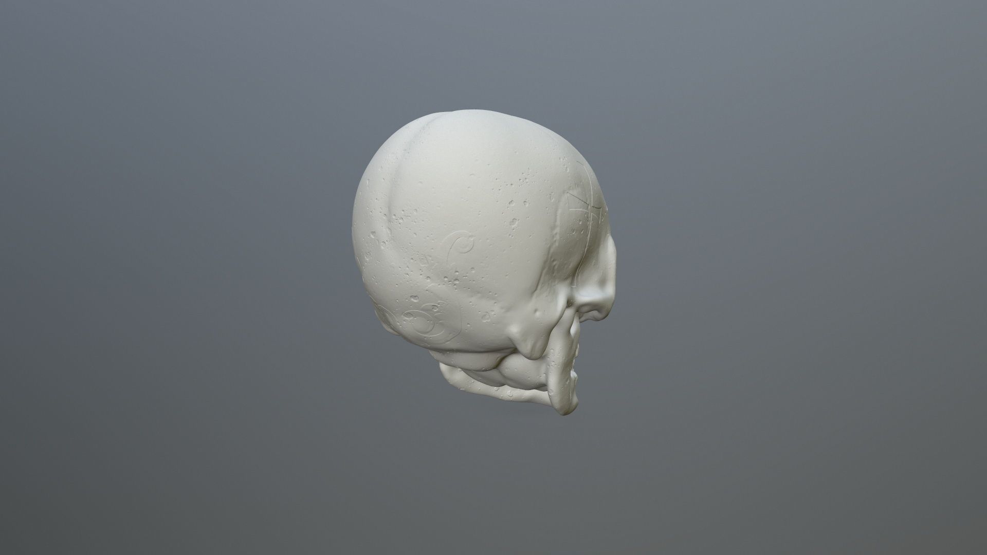 skull 3D print model_2