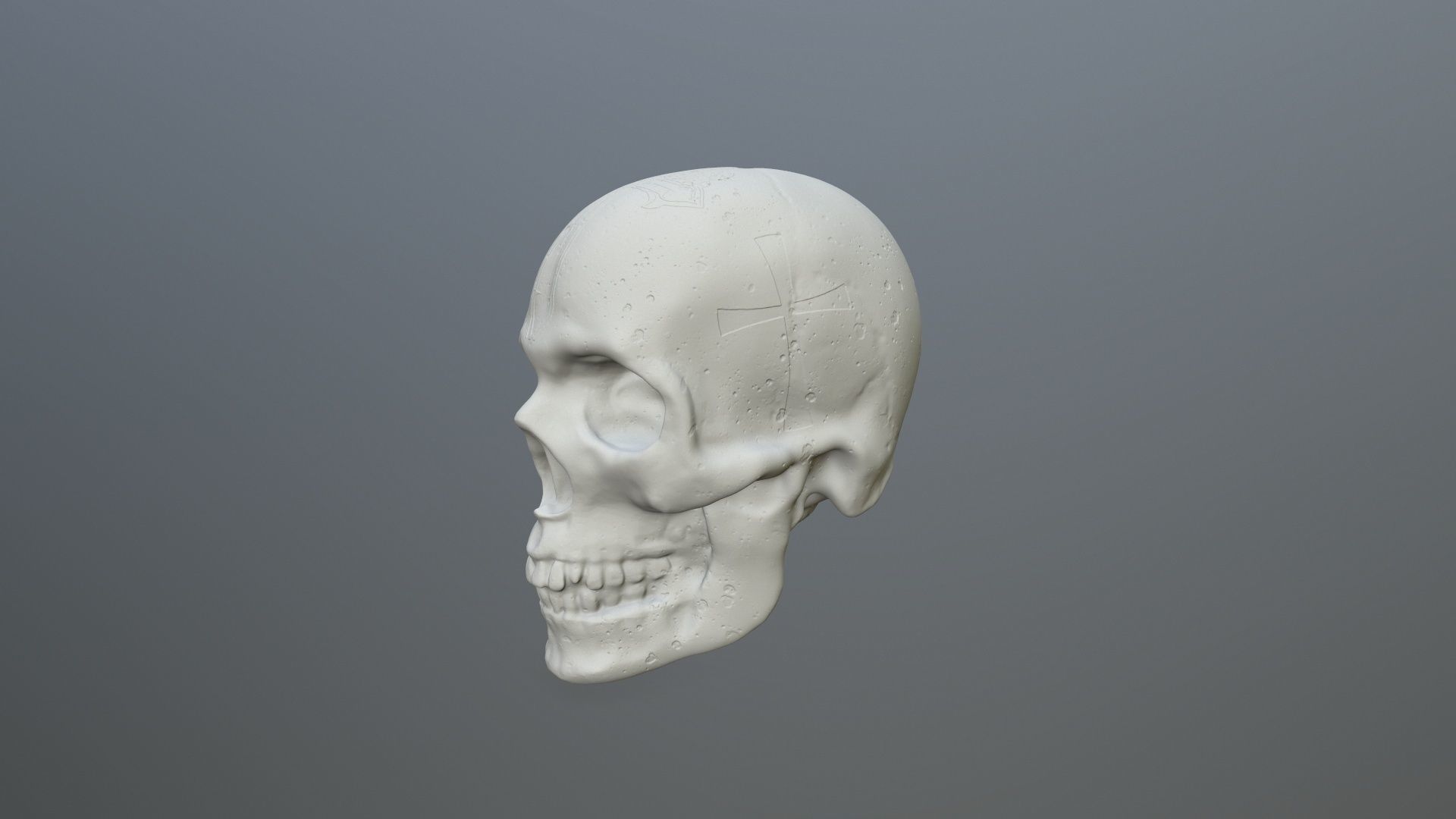 skull 3D print model_5