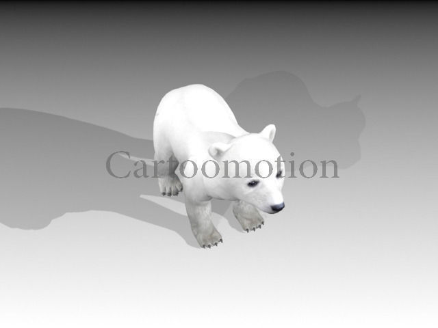 polar bear baby 2 Low-poly 3D model_5