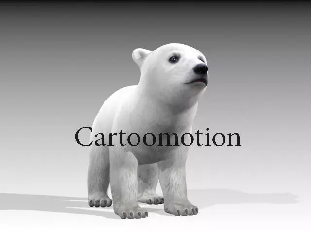 polar bear baby 2 Low-poly 3D model_0