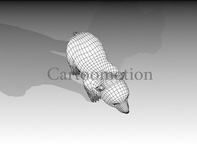 polar bear baby 2 Low-poly 3D model_11