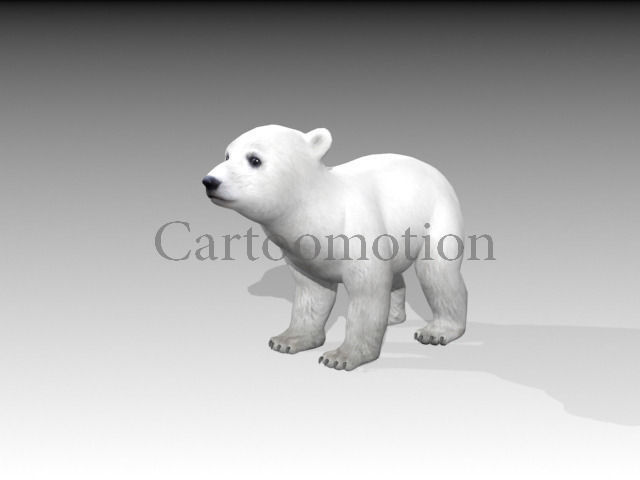 polar bear baby 2 Low-poly 3D model_1