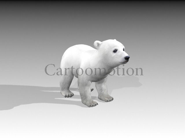 polar bear baby 2 Low-poly 3D model_2