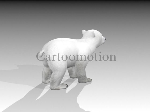 polar bear baby 2 Low-poly 3D model_3