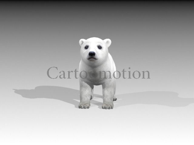 polar bear baby 2 Low-poly 3D model_7
