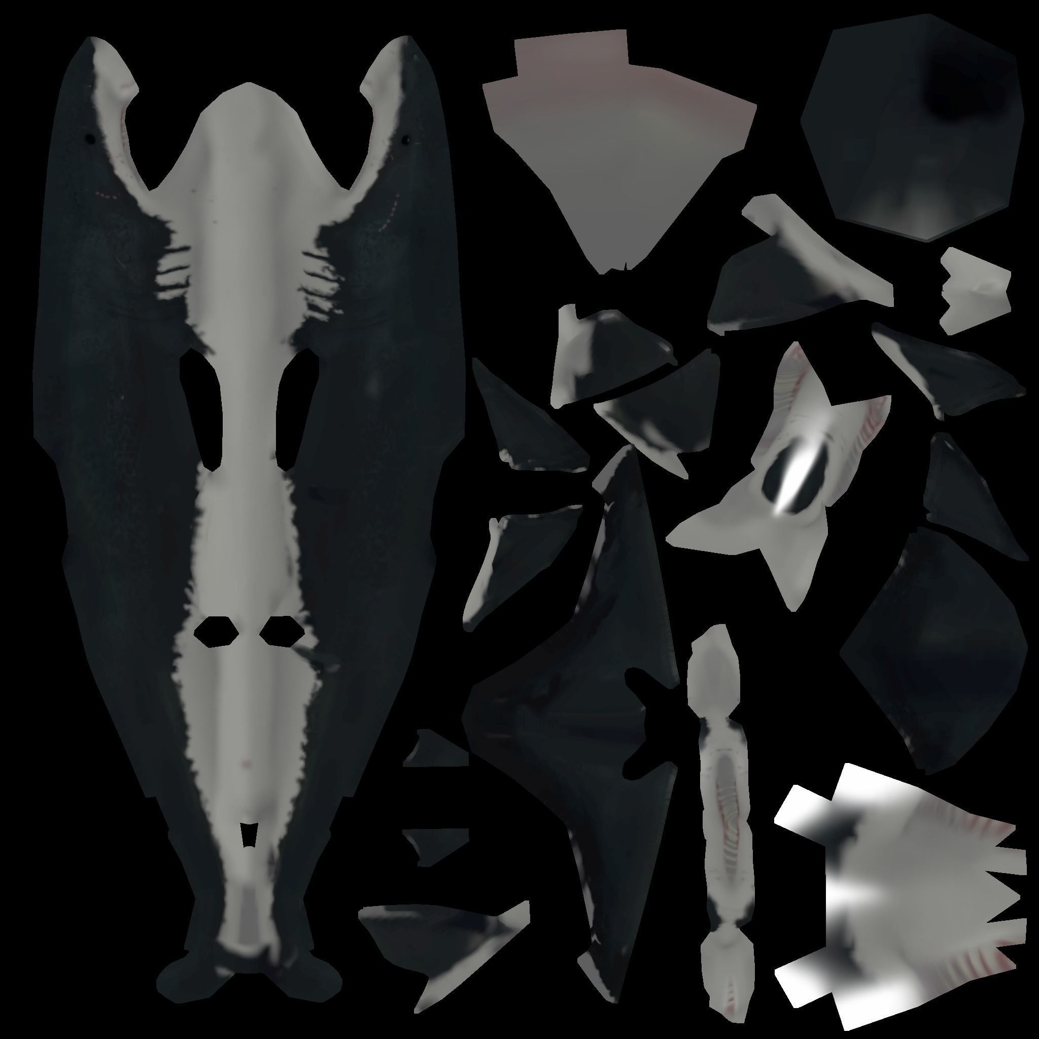 Great White Shark 3D model_7